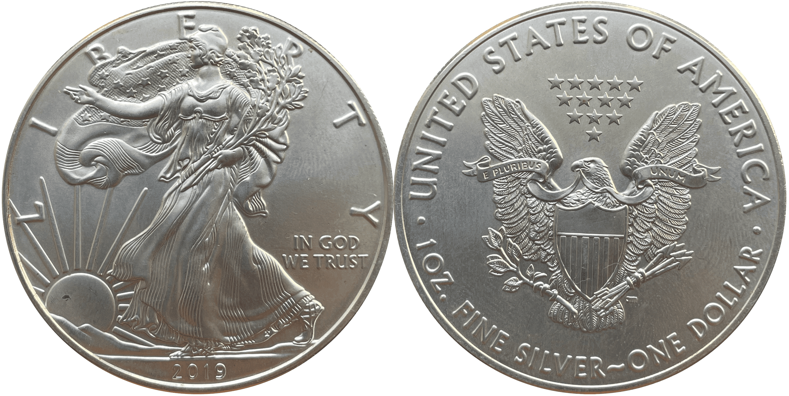 Both sides of an authentic 2019 American Silver Eagle coin, photographed by Windrain